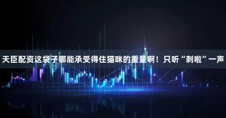 天臣配资这袋子哪能承受得住猫咪的重量啊！只听“刺啦”一声
