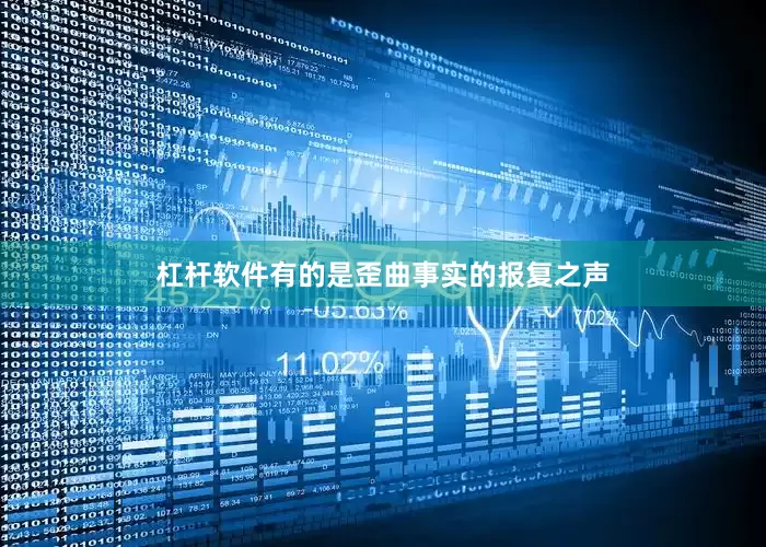 杠杆软件有的是歪曲事实的报复之声