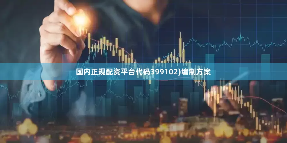 国内正规配资平台代码399102)编制方案