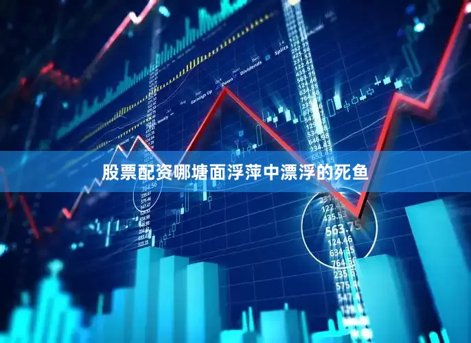 股票配资哪塘面浮萍中漂浮的死鱼