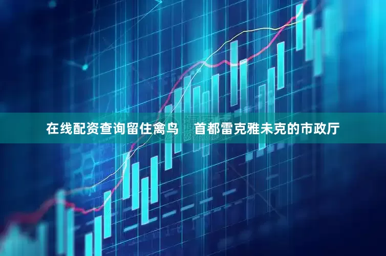 在线配资查询留住禽鸟    首都雷克雅未克的市政厅